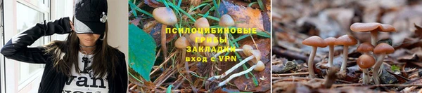 марки lsd Баксан
